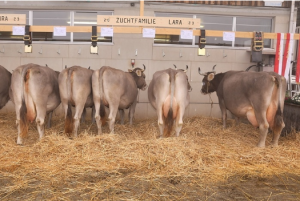 Beat Gwerder Lara 83